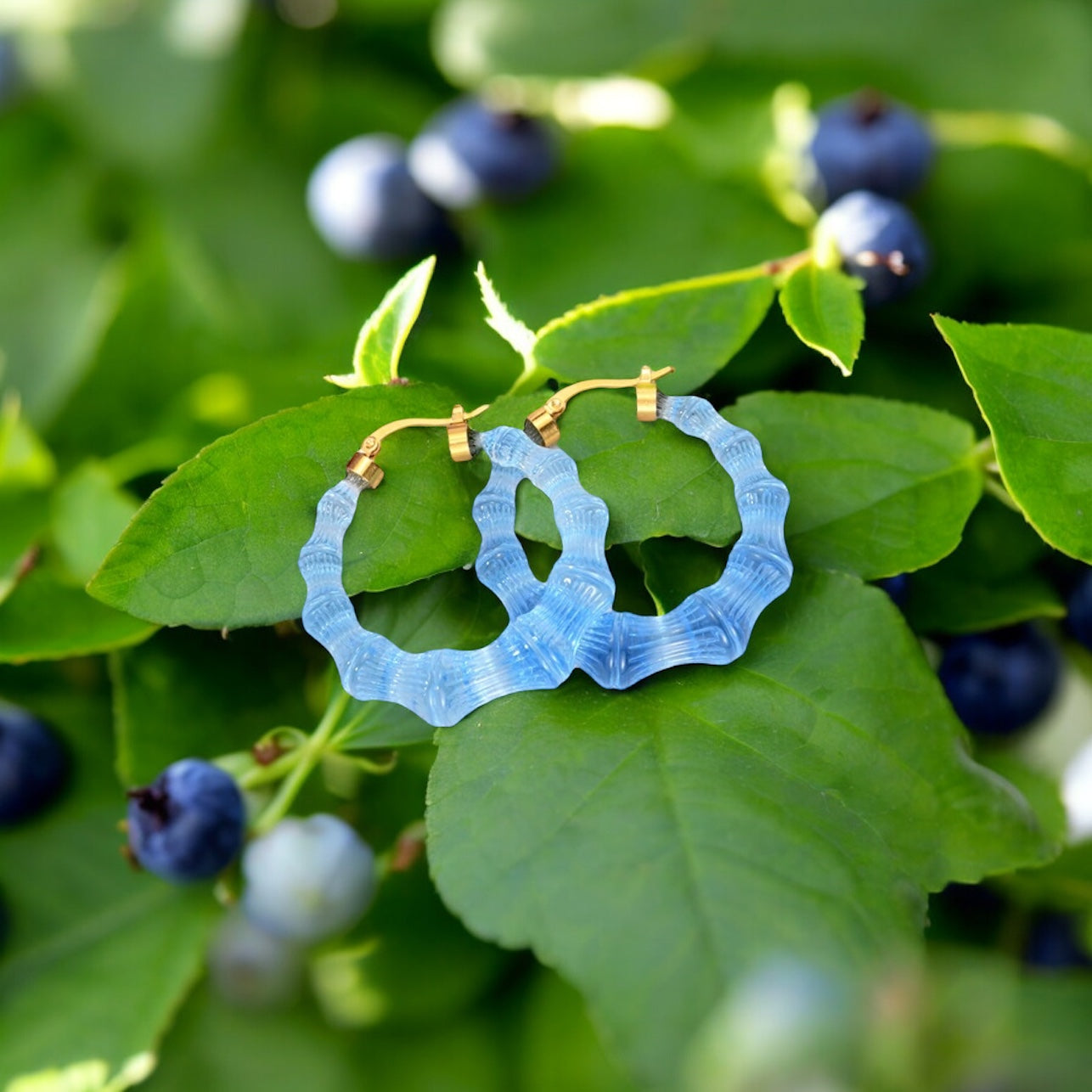 Tahiti candy hoops