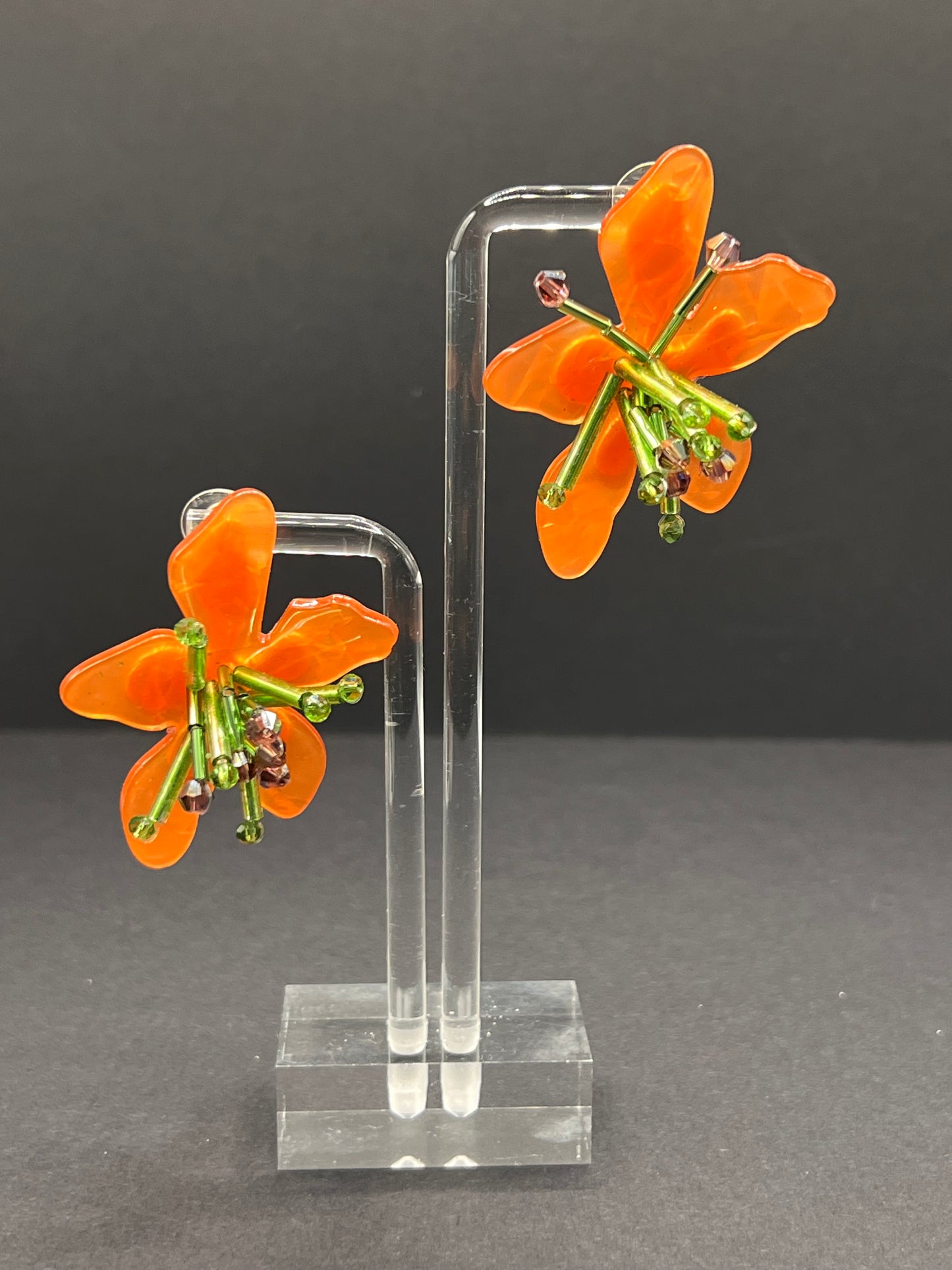 Akira tangerine orchids