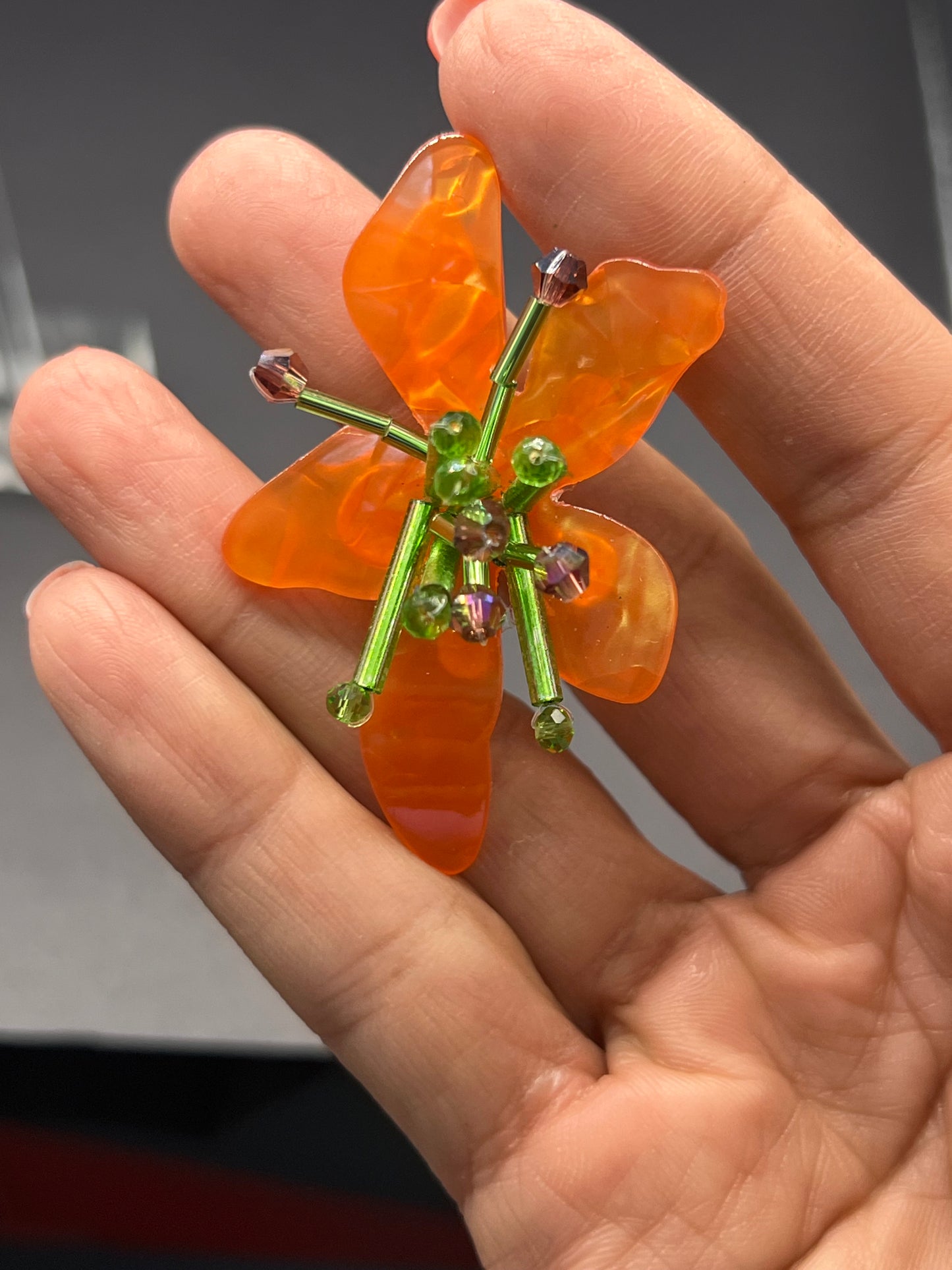 Akira tangerine orchids