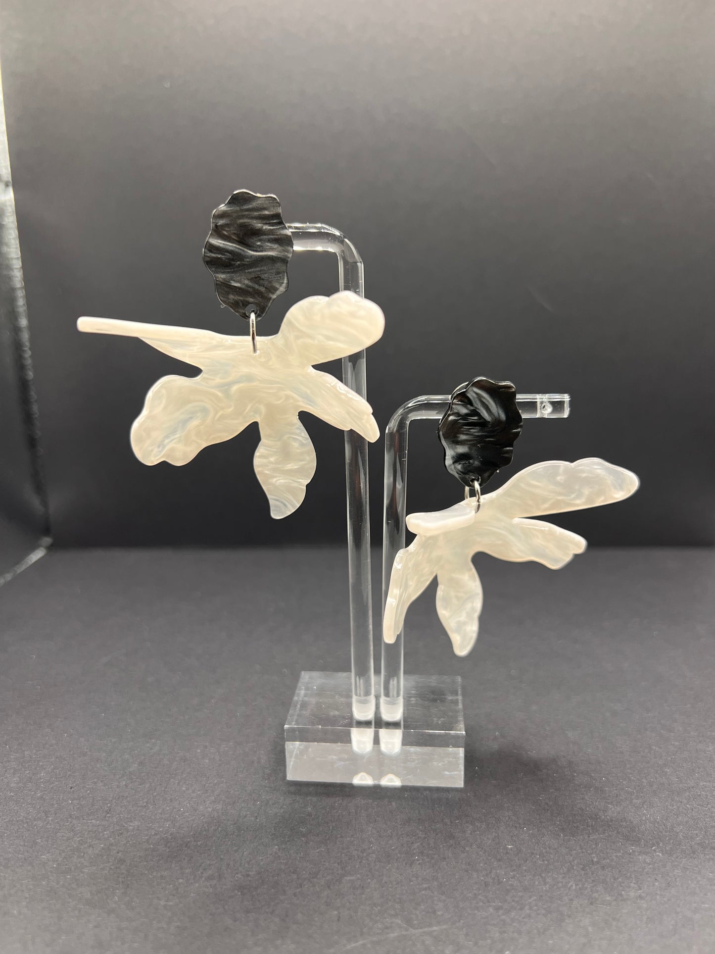 Oversized black and white lily orchids